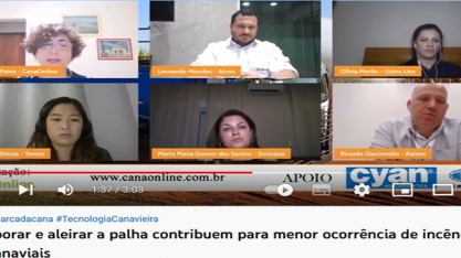 Incorporar e aleirar a palha contribuem para menor ocorrência de incêndios nos canaviais
