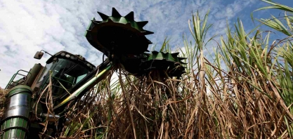 StoneX vê moagem de cana menor no centro-sul do Brasil e corta superávit global de açúcar