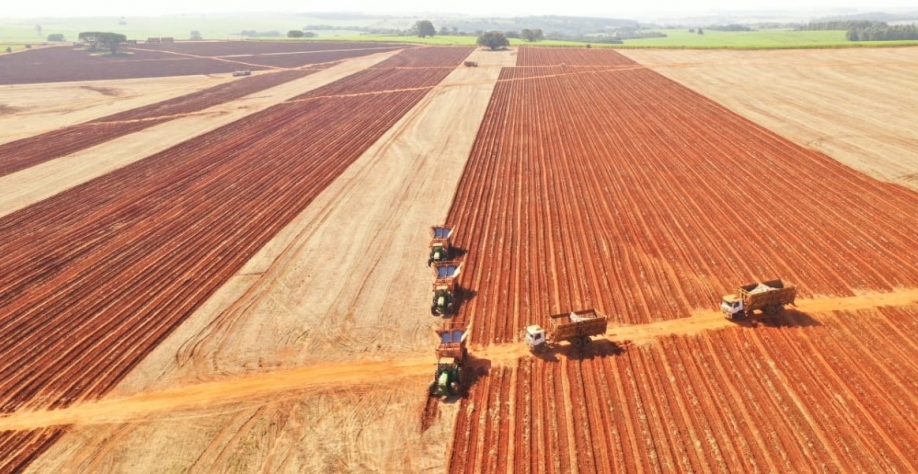 A Usina Lins conseguiu reduzir o total de mudas utilizadas por hectare de 18 para 13 toneladas de mudas