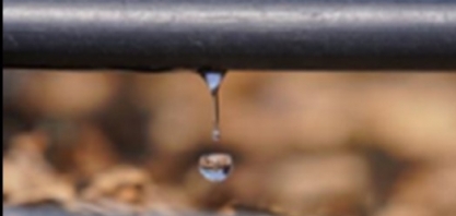 Netafim apresenta portfólio completo e pronta-entrega na Coopercitrus Expo 2022