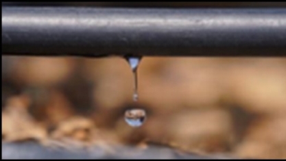 Netafim apresenta portfólio completo e pronta-entrega na Coopercitrus Expo 2022