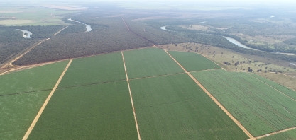 Bevap Bionergia tem o maior projeto de irrigação do Brasil no setor sucroalcooleiro