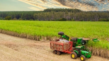 Safra de cana-de-açúcar em Minas Gerais acumula 30,61 milhões de toneladas