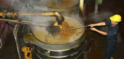 Indonésia realiza teste de estrada para biodiesel com 40% de óleo de palma