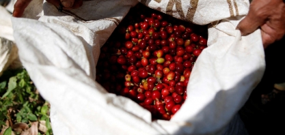 Café arábica cai abaixo de US$ 2 na ICE, para menor patamar em 9 meses