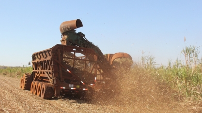 Atualização da safra de açúcar no Centro-Sul brasileiro: confira análise da hEDGEpoint esta semana