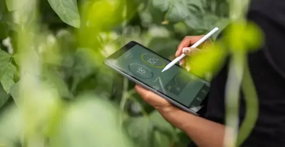 Estrutura de pesquisa do instituto conta com mais de 930 colaboradores (Luis Alvarez/Getty Images)