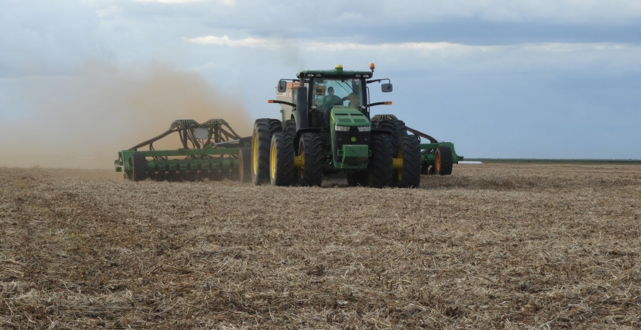 Plantio de sorgo no oeste da Bahia; componente para sistema de integração lavoura-pecuária (ILP). Foto:  Ariosto Mesquita
