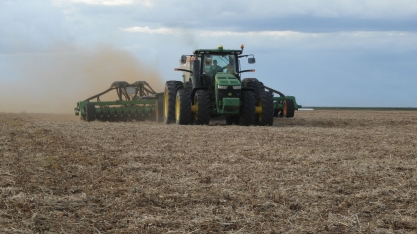 Goiás colhe 43,2% de todo o sorgo brasileiro