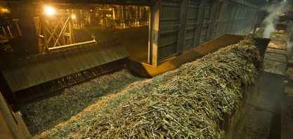 Com menos cana, usinas reduzem produção de açúcar para favorecer o etanol