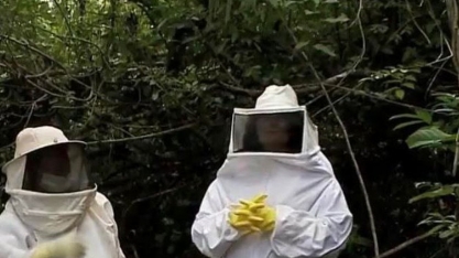Palateia: Usina Caeté faz doação para projeto de apicultura