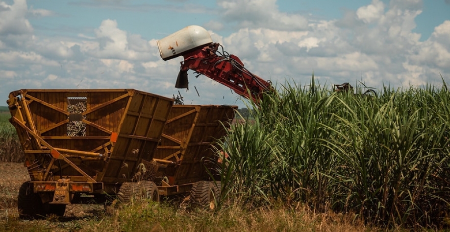 Foto: Wenderson Araujo