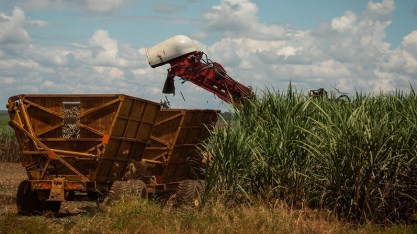 Campo Futuro analisa custos de produção de seis culturas