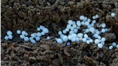 Ureia deve apresentar queda, mesmo com a alta nos preços do gás natural