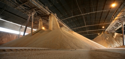 Preço do açúcar encosta no custo de produção