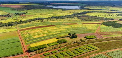 Suspensões do Plano Safra só aumentam os ganhos dos bancos e não ajudam produtor, diz CNA/IPA