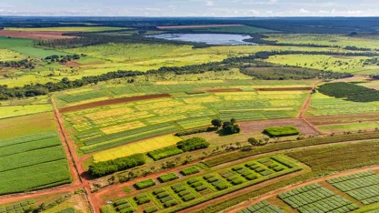 Suspensões do Plano Safra só aumentam os ganhos dos bancos e não ajudam produtor, diz CNA/IPA