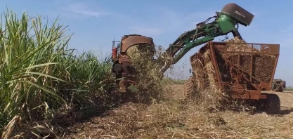 Safra volta a ter baixa em agosto, e volume de cana processada no Centro-Sul acumula queda de 8% em 2022