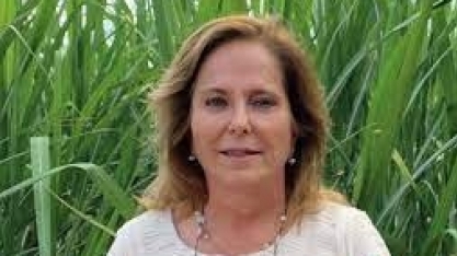 Não basta fazer análise. É preciso conhecer a fundo outros indicadores de qualidade dos solos