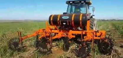 Desenleirador de palha no controle do Sphenophorus levis