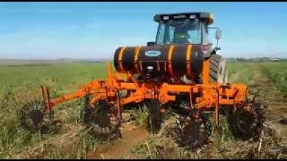 Desenleirador de palha no controle do Sphenophorus levis