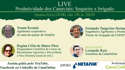 Veja os links para acompanhar a Live: Produtividade dos Canaviais: Sequeiro x Irrigado