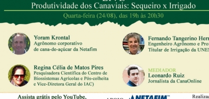 Confira como acompanhar a Live: Produtividade dos Canaviais: Sequeiro x Irrigado