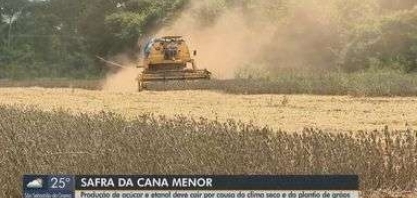Produção de açúcar e etanol deve cair por causa do clima do plantio de grãos, diz Conab