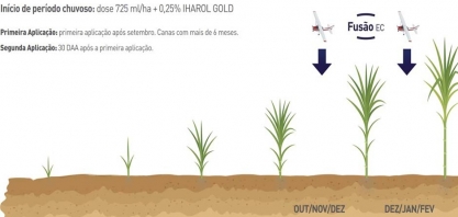 Com o fungicida Fusão a ferrugem e outras doenças não vão mais se meter em seu canavial