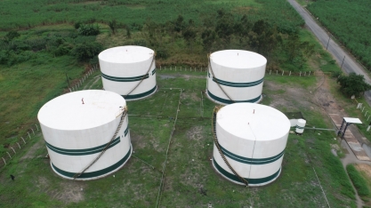 Feplana critica adiamento de metas do CBios e apoia PDL para impedir 