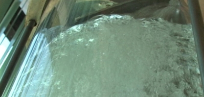 Na era da mobilidade verde, o etanol será a grande estrela