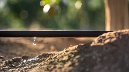 Manejo correto da irrigação auxilia na aeração do solo e melhor desenvolvimento das raízes