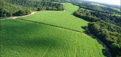 São José Agroindustrial irá aplicar produtos biológicos por meio de seu sistema de irrigação por gotejamento