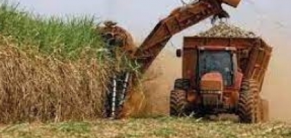 Faturamento das exportações do agronegócio mineiro sobe 46,5%