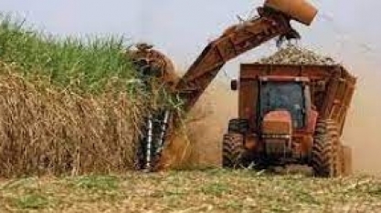 Faturamento das exportações do agronegócio mineiro sobe 46,5%