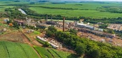 Grupo Pedra deve processar 10,7 mi de toneladas de cana na safra 2022/23