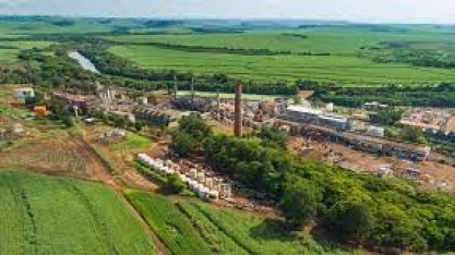 Grupo Pedra deve processar 10,7 mi de toneladas de cana na safra 2022/23