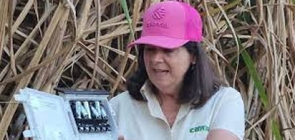 Trisal formado por melhoramento genético, nutrição e irrigação turbinam a produtividade do canavial