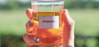 Dia Internacional do Biodiesel: como o sustentável biocombustível é produzido