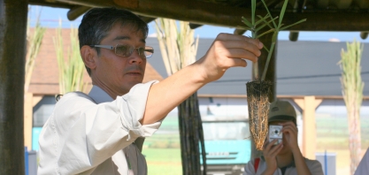O plantio de Muda Pré-Brotada (MPB) reduz o consumo de material de propagação de 12 a 14 toneladas de cana por hectare
