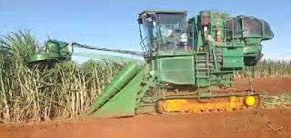 Profissionais da Umoe Bioenergy adaptam colhedora de cana para corte de Meiosi