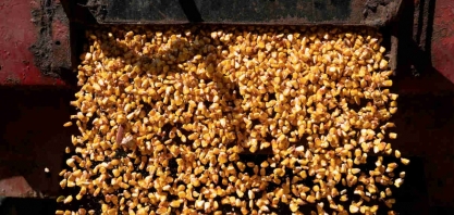 Brasil envia DDGS para Vietnã, exportação cresce com avanço do etanol de milho