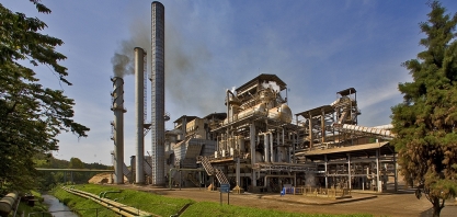 Moagem de cana na 1ª quinzena de agosto retrai 13,7%