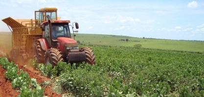 Plantio direto de cana sobre adubação verde ou palhada de culturas rotacionais é mais eficiente com plantadora automatizada