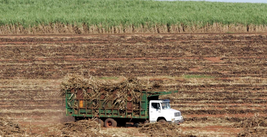 A safra de cana do Brasil 2022/23 foi estimada em 572,9 milhões de toneladas, ante 596 milhões na previsão de abril, o que deve configurar uma queda de 1% versus o ciclo anterior (Imagem: REUTERS/Paulo Whitaker)