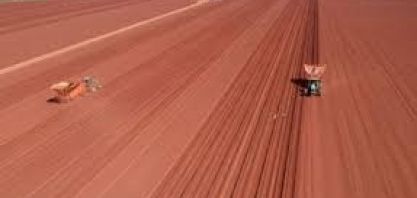  Prêmio Fundação Bunge vai para pesquisador do IAC