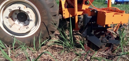 Canaviais que apresentam entre 10% e 30% de toletes atacados por Sphenophorus levis o correto é cortar a soqueira e aplicar defensivo