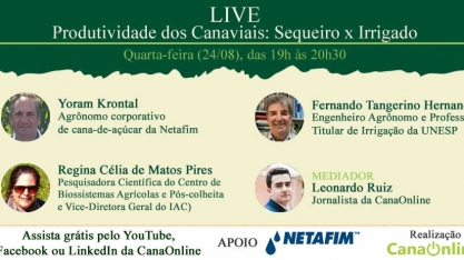 Live: Produtividade dos Canaviais: Sequeiro x Irrigado