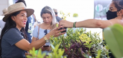 Uisa e Grupo Mateus promovem reciclagem de garrafas pet em Belém e Ananindeua