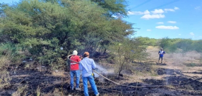 Agrovale ajuda a combater incêndios na Caatinga e vai contribuir com o repovoamento da flora nativa